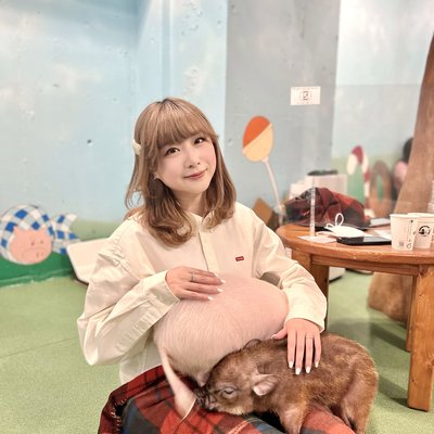 🐷 미피그 카페 오사카점 (mipig cafe 大阪店)